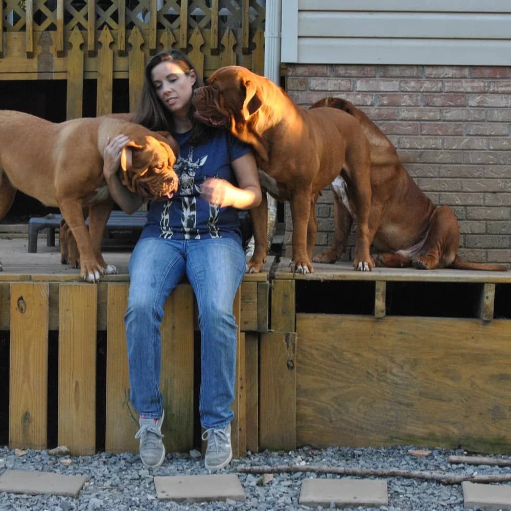 Rachel with three dogs on a deck