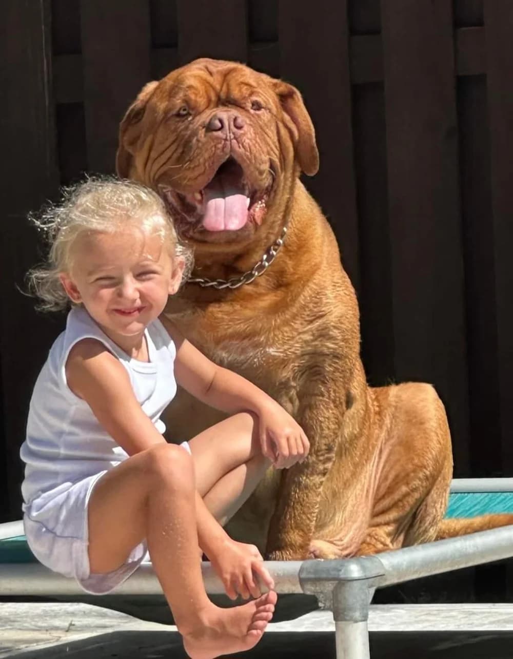 Child sitting beside a dog outdoors