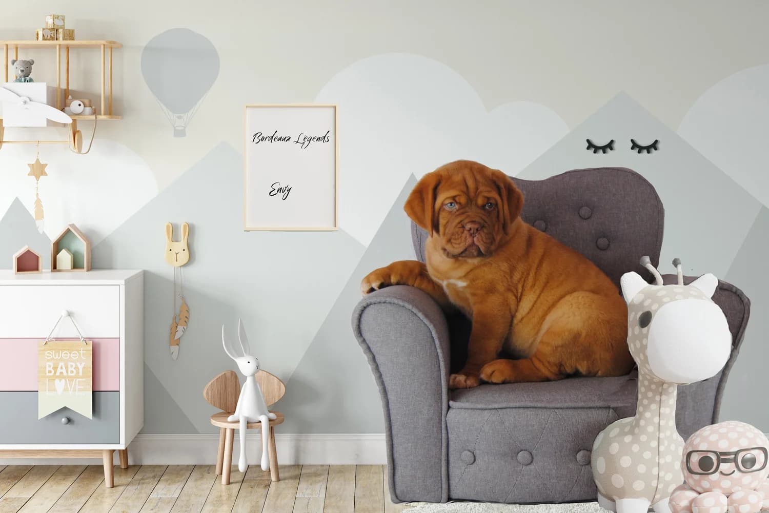 A Bordeaux Legends Dogue de Bordeaux at home